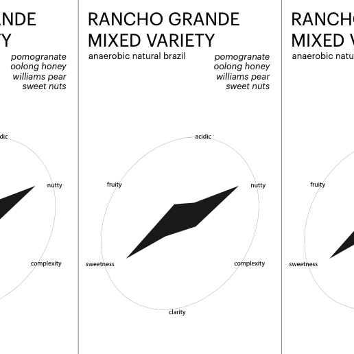 Seasonal Brazilian - Rancho Grande (anaerobic natural)